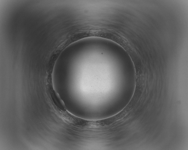 X0000074960750200609011146