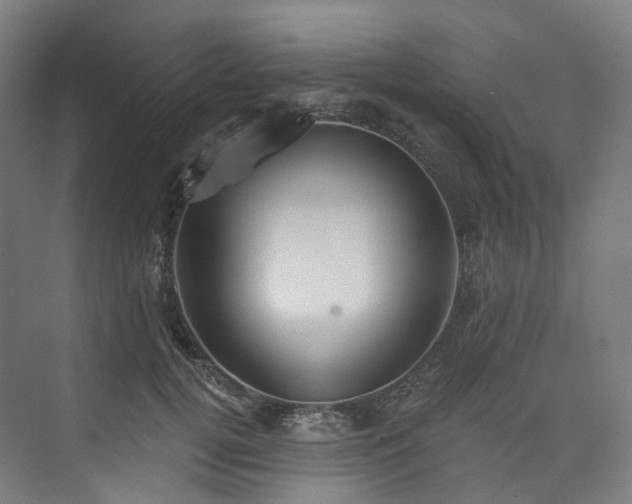 X0000074960752200609011146