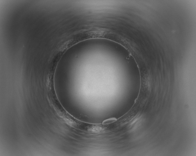 X0000074960759200609011146