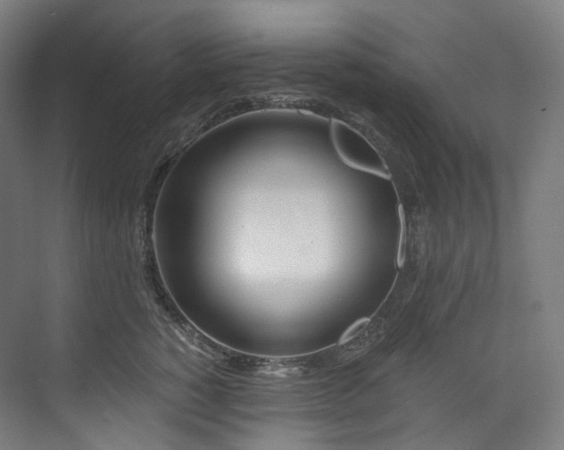 X0000074960760200609011146