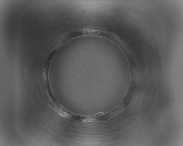 X0000074960761200609011146