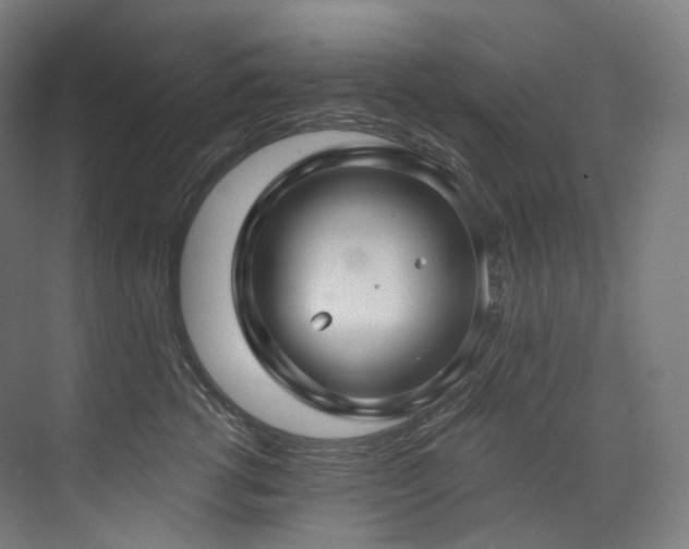 X0000074960762200609011146