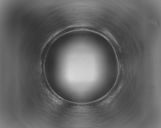 X0000074960781200609011145