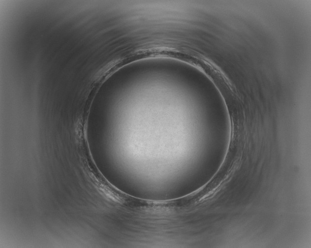 X0000074960785200609011145
