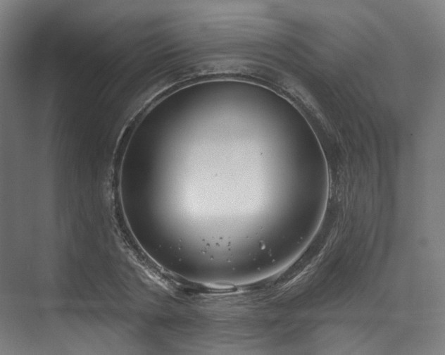 X0000074960786200609011145