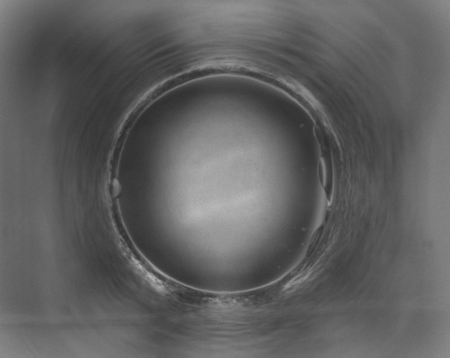 X0000074960799200609011145