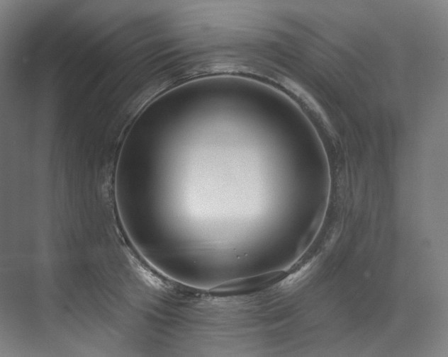X0000074960801200609011145