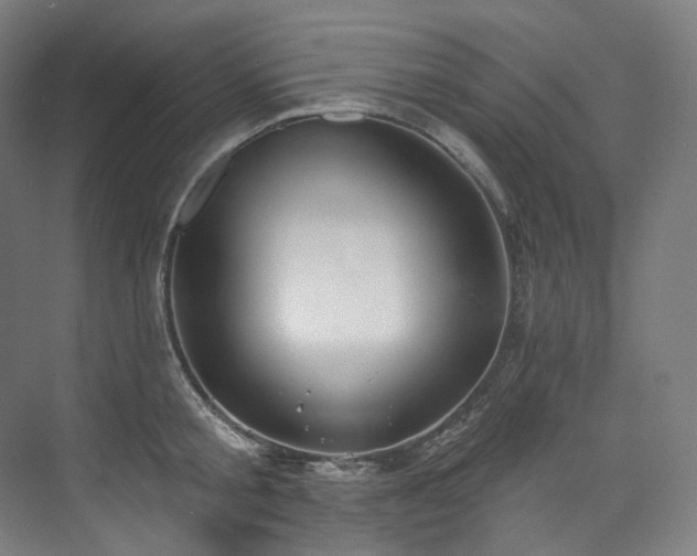 X0000074960805200609011145