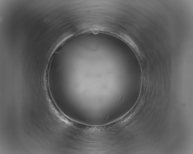X0000074960806200609011145