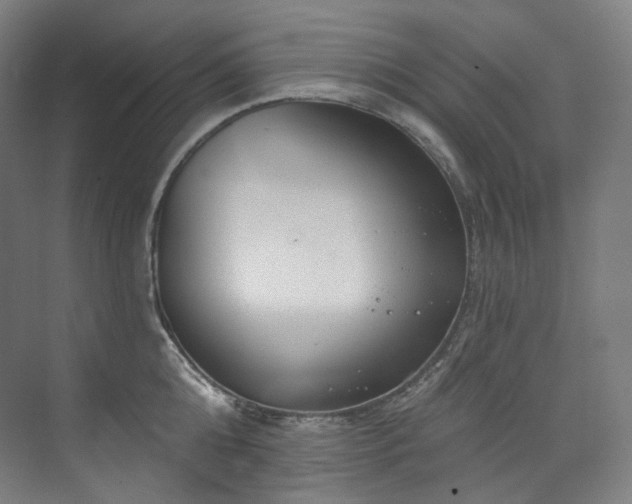 X0000074960808200609011145
