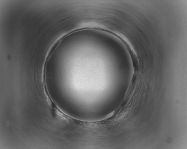 X0000074960815200609011145