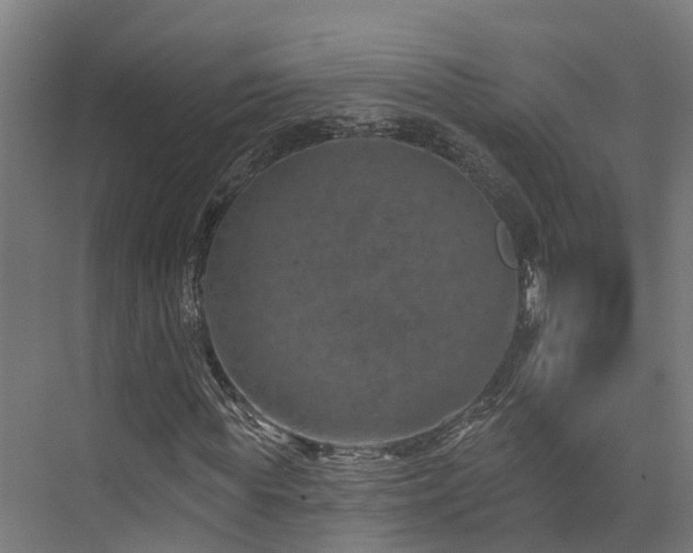 X0000074960819200609011144