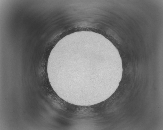 X0000074960824200609011144