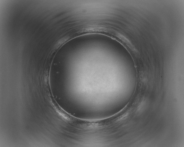 X0000074960841200609011144