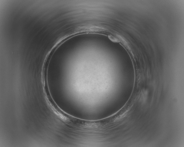 X0000074960843200609011144