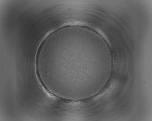 X0000074960845200609011144