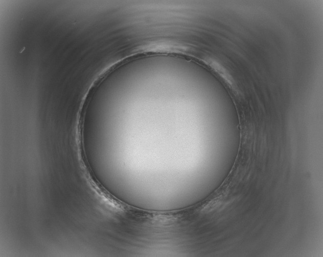 X0000074960848200609011144