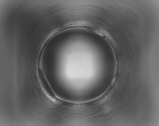 X0000074960850200609011144