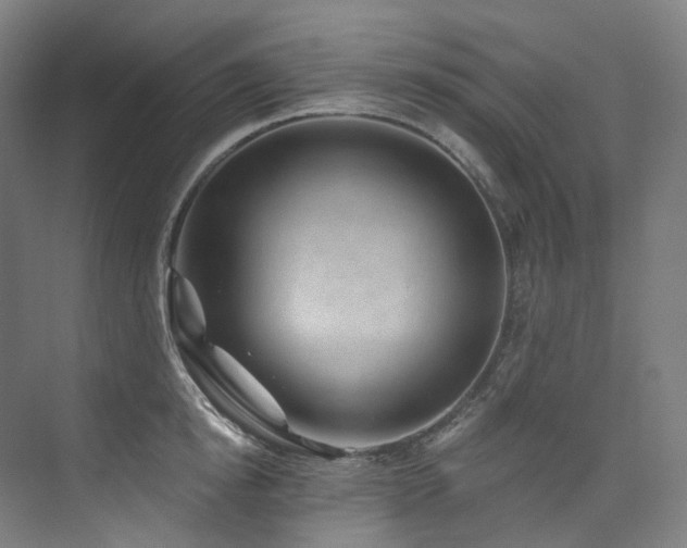 X0000074960854200609011144