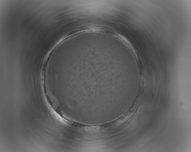 X0000074960859200609011144