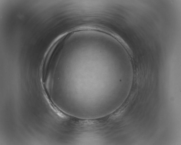 X0000074960862200609011144