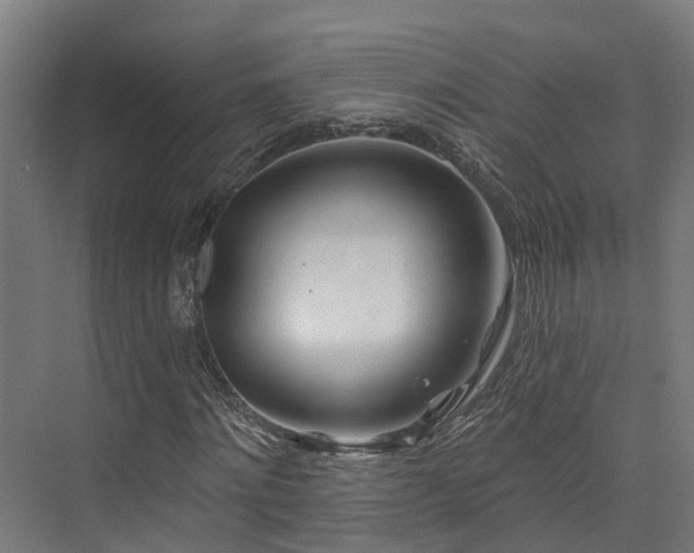X0000074960868200609011144