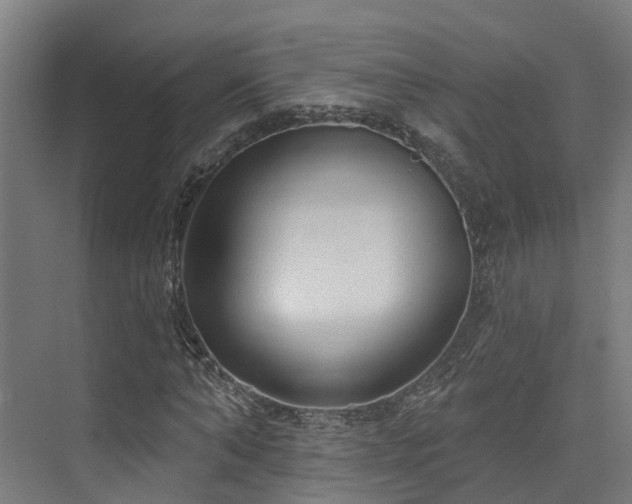 X0000074960870200609011144