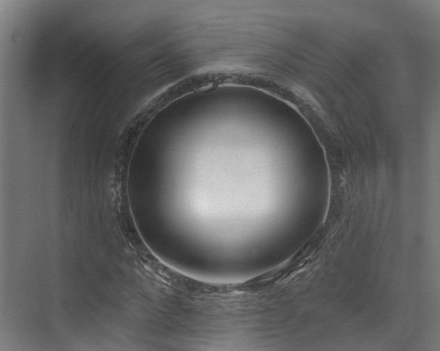 X0000074960872200609011144