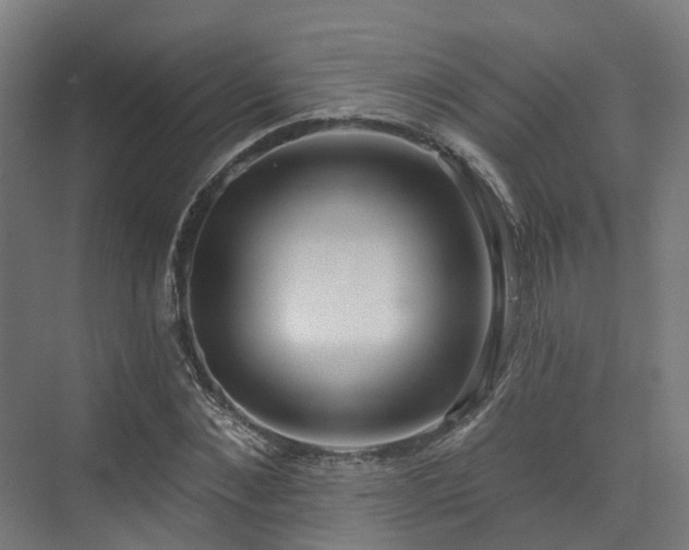 X0000074960876200609011144