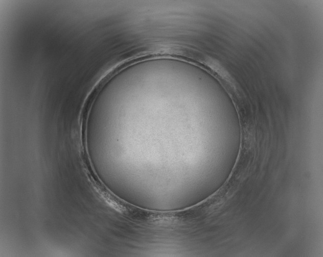 X0000074960886200609011143