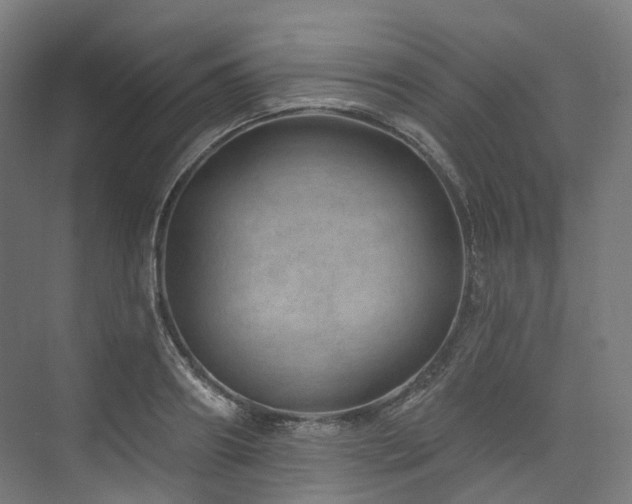 X0000074960890200609011143