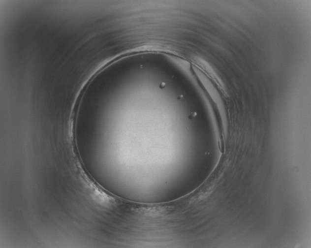 X0000074960900200609011143