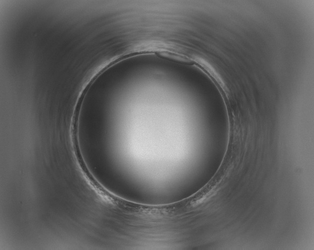 X0000074960901200609011143