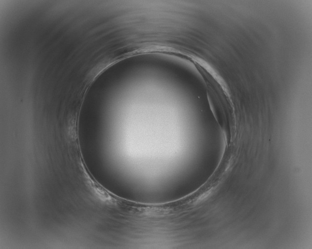 X0000074960905200609011143
