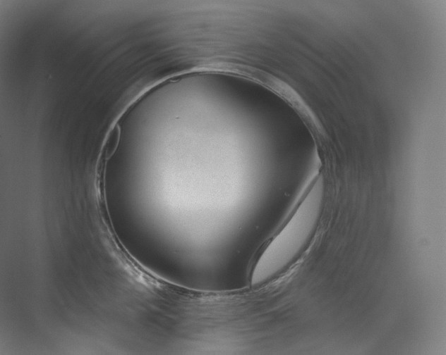 X0000074960908200609011143