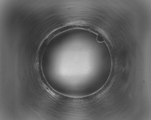 X0000074960923200609011142
