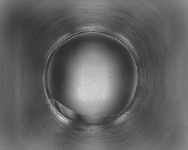 X0000074960946200609011143