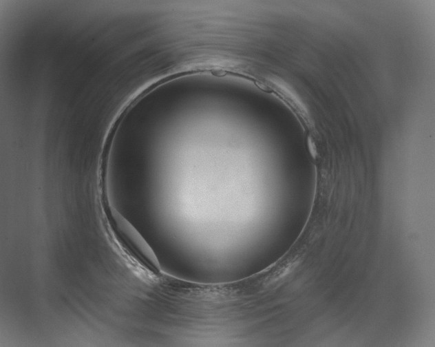 X0000074960948200609011143