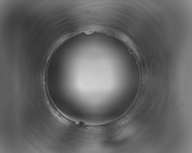 X0000074960954200609011143