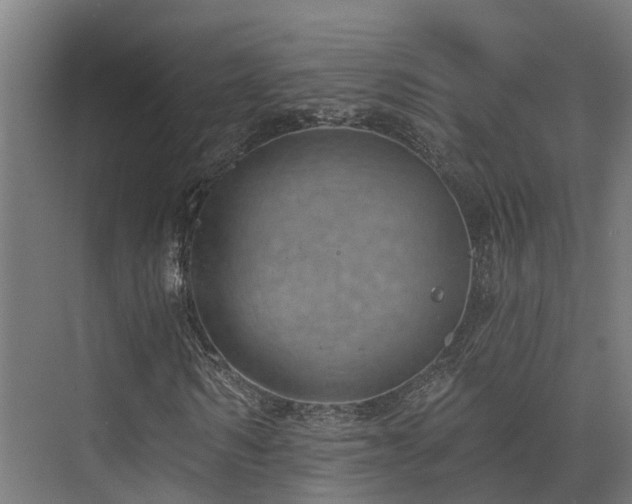 X0000074960962200609011142
