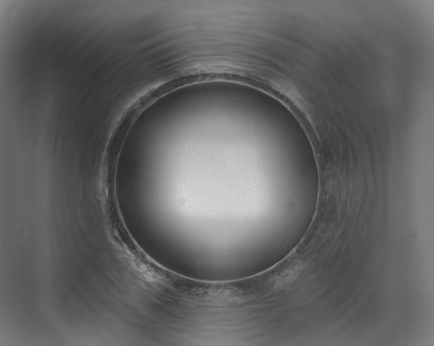 X0000074960979200609011142