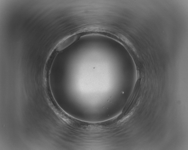 X0000074960981200609011142
