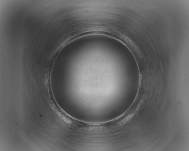 X0000074960985200609011142