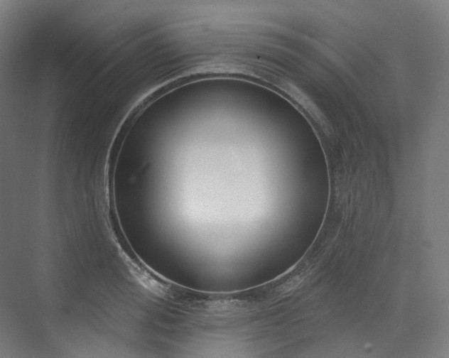 X0000074960988200609011142