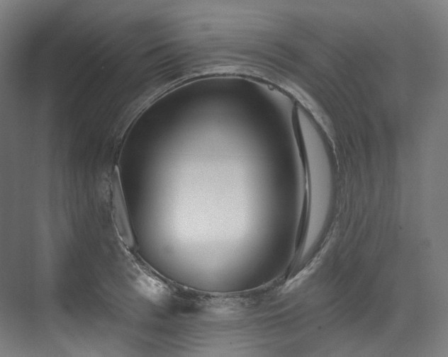 X0000074960993200609011142