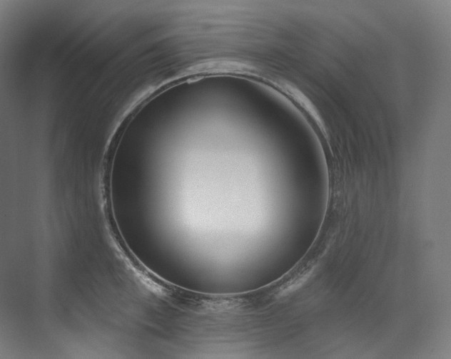X0000074960997200609011141