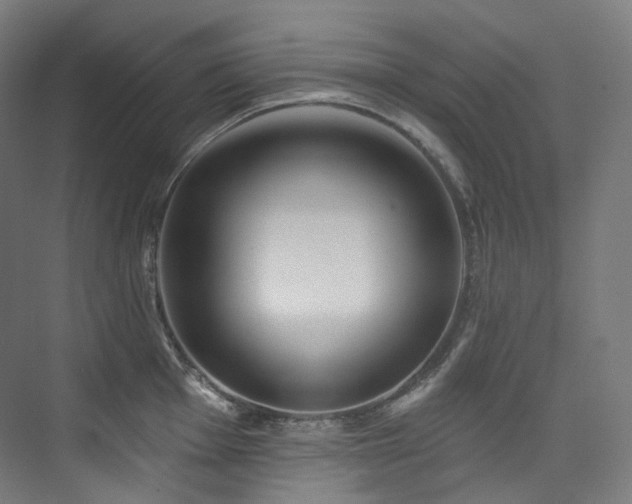 X0000074961001200609011141
