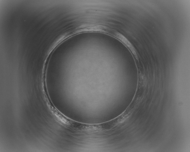 X0000074961002200609011141