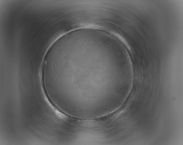 X0000074961007200609011141