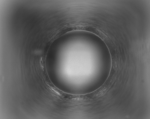 X0000074961010200609011141
